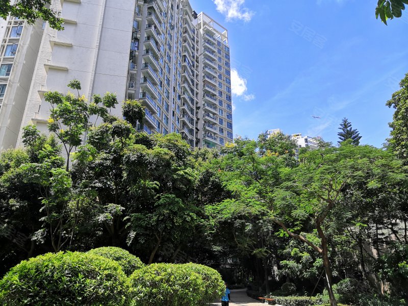 城市山林,东滨路4343号-深圳城市山林二手房,租房,房价-深圳安居客