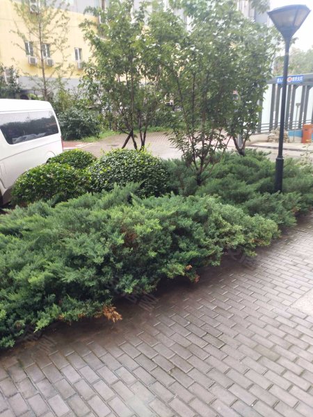 天怡晴园,宋庄路11号-北京天怡晴园二手房,租房,房价-北京安居客