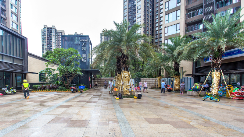 万科麓城二期,布龙路155号-深圳万科麓城二期二手房,租房,房价-深圳