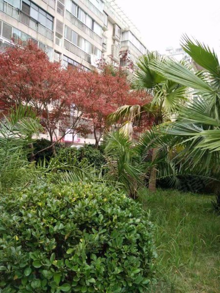 碧鸿佳园,梅苑路-株洲碧鸿佳园二手房,租房,房价-株洲安居客