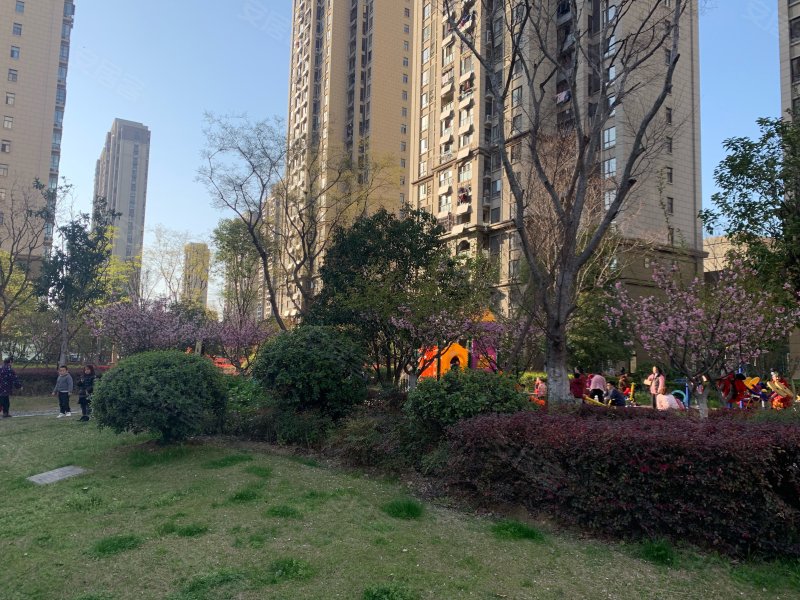 皇家尚品,扶疏路1188号-合肥皇家尚品二手房,租房,房价-合肥安居客