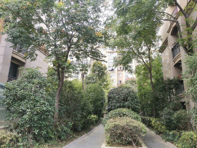 锦城丽景,园中路-盐城锦城丽景二手房,租房,房价-盐城安居客