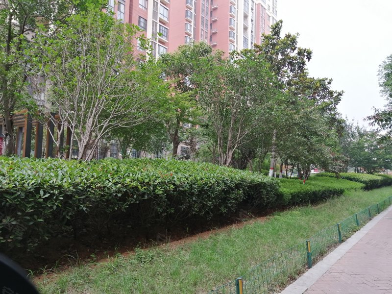 绿都叠翠园,健康路188号-焦作绿都叠翠园二手房,租房,房价-焦作安居客