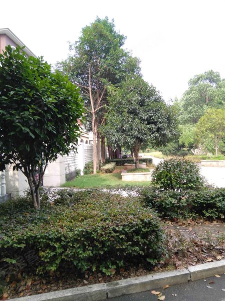 淞雅苑,滨湖路1号-长沙淞雅苑二手房,租房,房价-长沙安居客