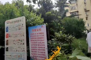 杨新路198弄小区