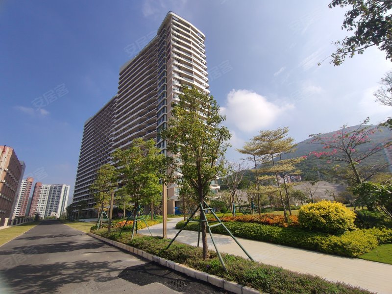 龙光御海湾,海滨路-阳江龙光御海湾二手房,租房,房价-阳江安居客