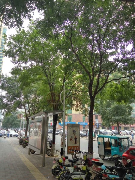 金悦公馆,南小街-石家庄金悦公馆二手房,租房,房价-石家庄安居客