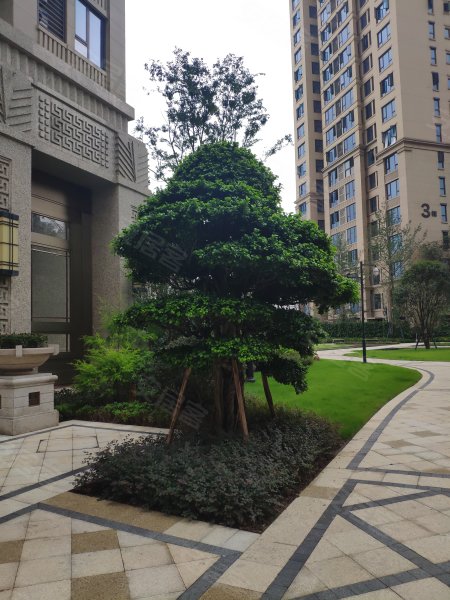 紫御江山天誉,北滨二路548号-重庆紫御江山天誉二手房,租房,房价-重庆