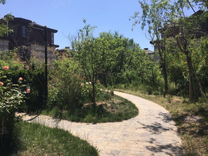 海棠公社(4号院)