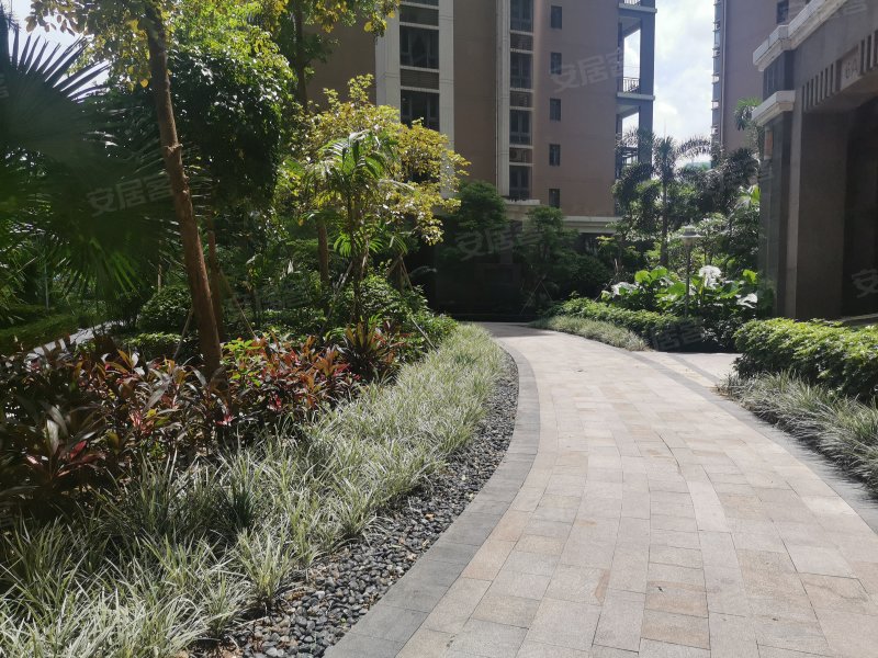 锦园,九洲大道2088号-珠海锦园二手房,租房,房价-珠海安居客