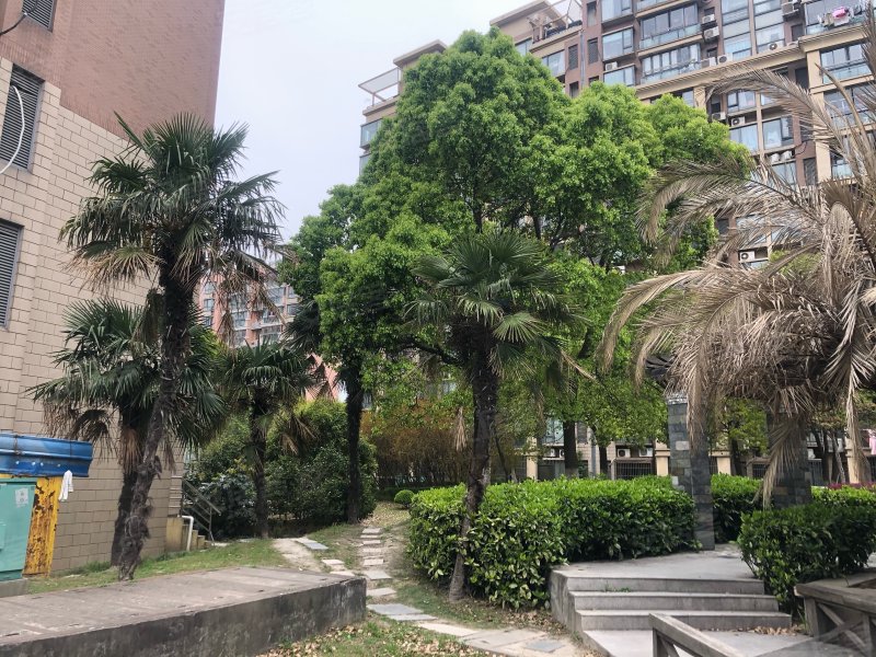 丽景花园,水产西路777弄1-14号-上海丽景花园二手房,租房,房价-上海