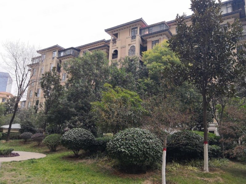 凯瑞国宝花园(公寓住宅),牡丹大道246号-洛阳凯瑞国宝花园(公寓住宅)