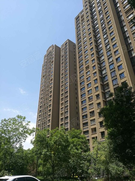 绿地香树花城(公寓住宅),六盘山路-银川绿地香树花城(公寓住宅)二手房