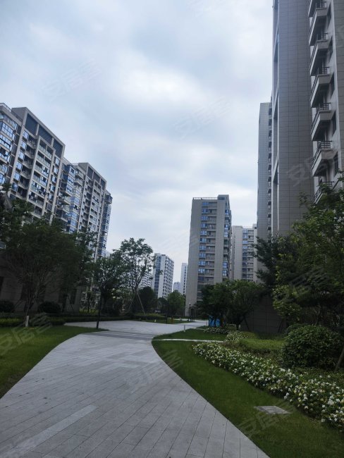 尚景苑  采光好 近医院 带电梯  房东直卖,价格可议