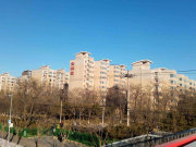 金雅园2室1厅1卫南北通透品质小区