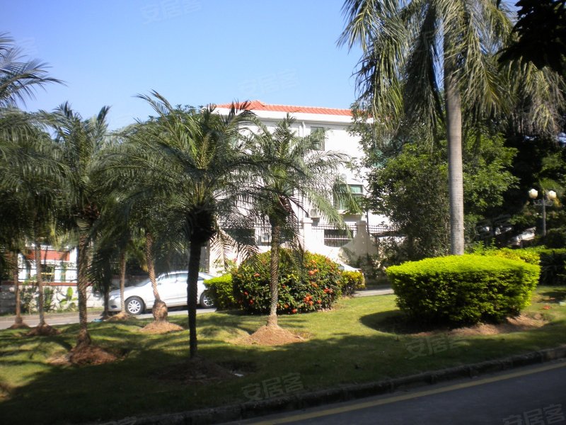 梅花山庄(别墅),民治大道-深圳梅花山庄(别墅)二手房,租房,房价-深圳