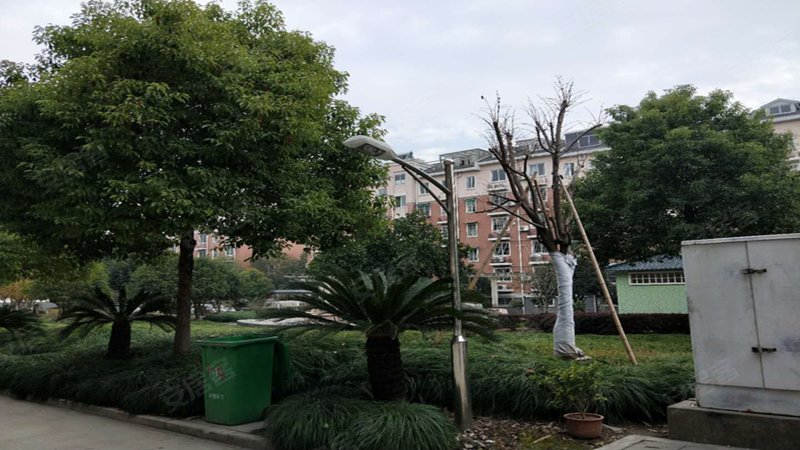 临江佳苑,纬六路1077号-杭州临江佳苑二手房,租房,房价-杭州安居客