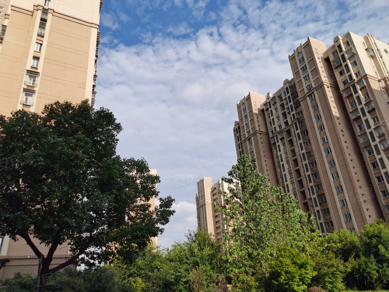 花港幸福城金桂园