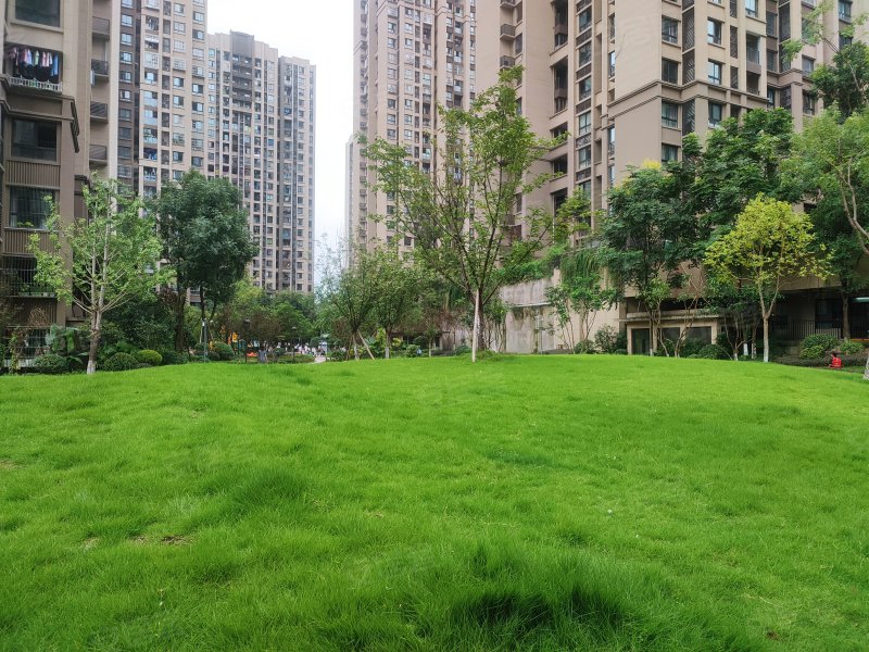 协信城立方一期,大学城中路4号-重庆协信城立方一期二手房,租房,房价
