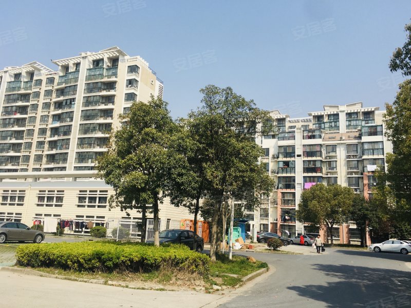 华亭新家银杏苑