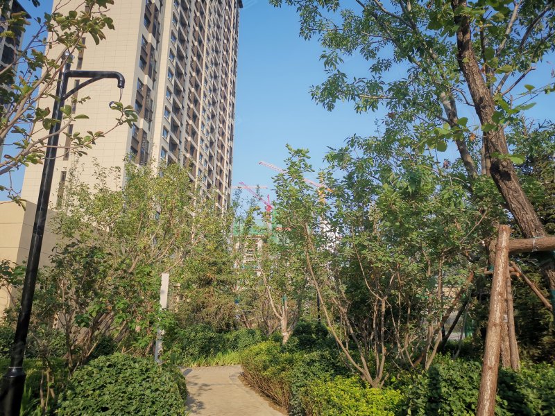 润卓天伦湾,华阳中路