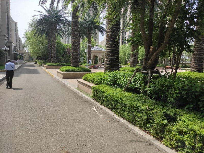 珍宝岛健康城,智谷大街,近滨水大道-哈尔滨珍宝岛健康城二手房,租房