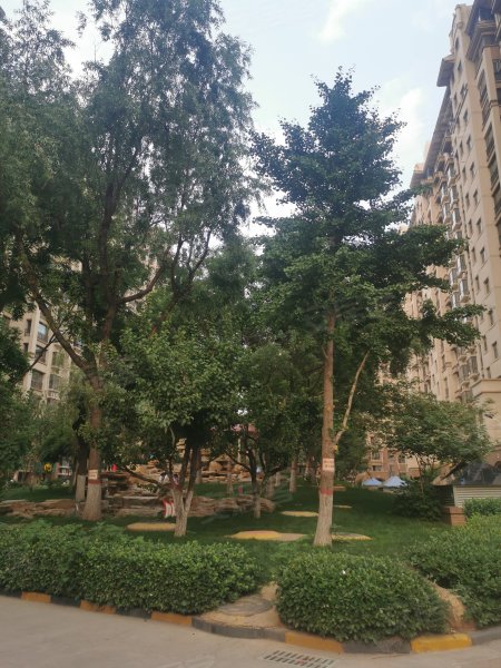 浦东雅典(南区)