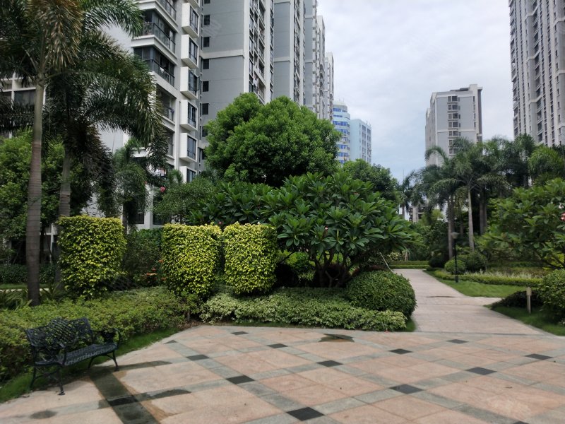 新洲香樟美地,汕樟路128号-汕头新洲香樟美地二手房,租房,房价-汕头