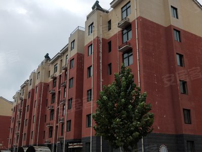 金豪府邸,向阳路 - 长垣金豪府邸二手房,租房,房价-长垣安居客