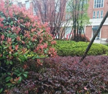 华景川万悦府(一期)