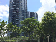 坪地小区图片