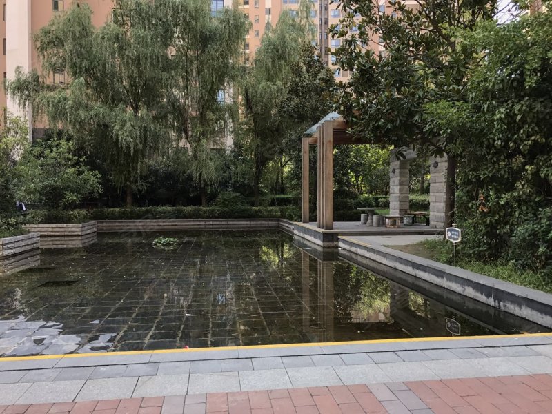 天地源枫林意树