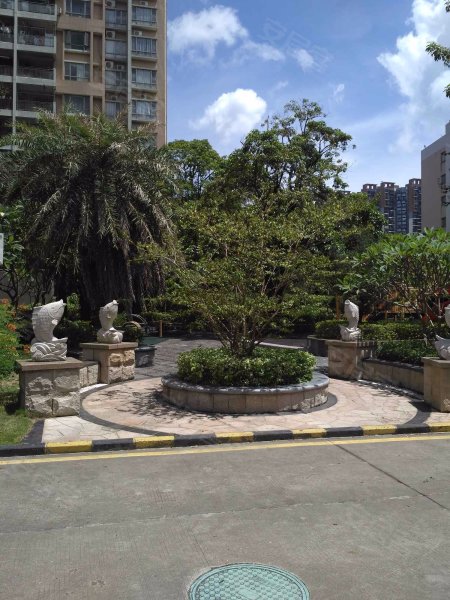 六约新村,红棉路-深圳六约新村二手房,租房,房价-深圳安居客