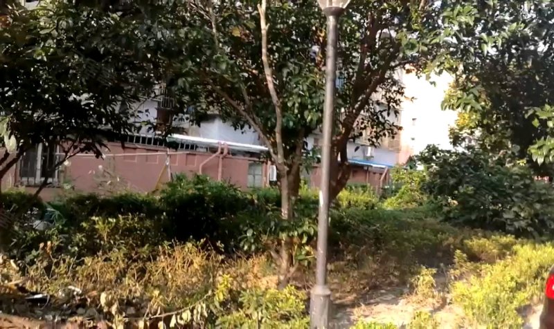 芳华路268弄小区 