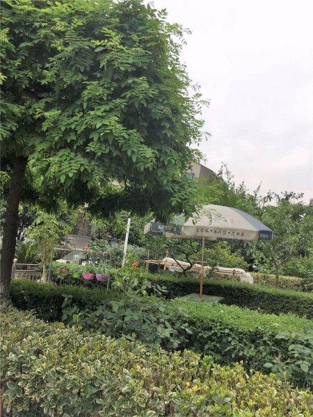 天虹山庄,泰山北路-南京天虹山庄二手房,租房,房价-南京安居客