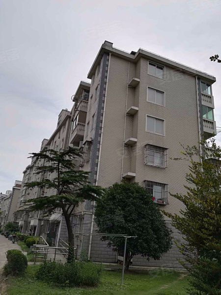 金星绿苑(东区) 