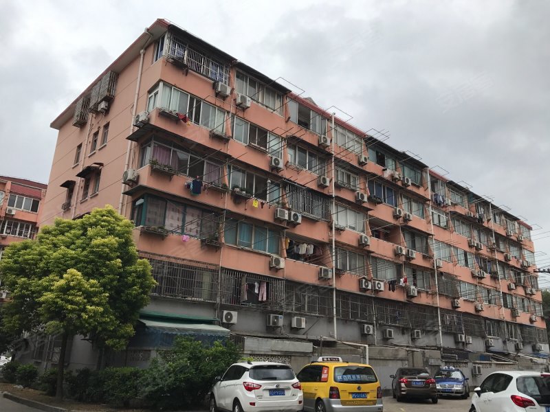 蔷薇新村虹梅家人