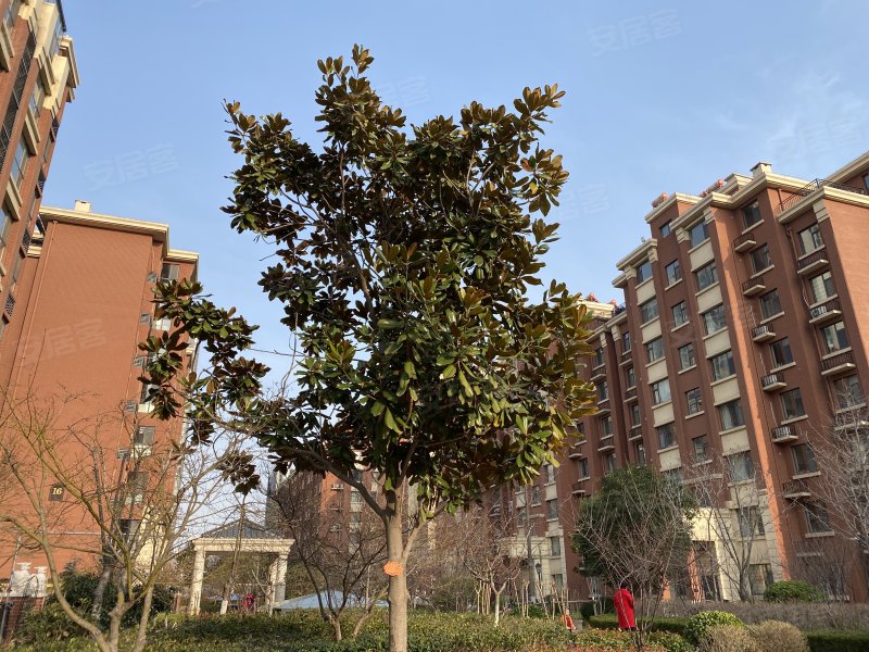 阜丰大成郡,广州路-临沂阜丰大成郡二手房,租房,房价-临沂安居客