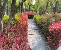 江桥二村二街坊