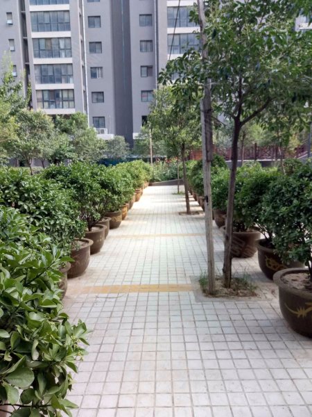 上林苑,西刘街-郑州上林苑二手房,租房,房价-郑州安居客