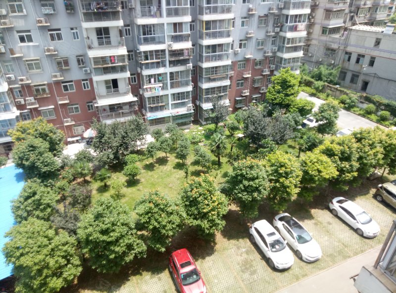 鹏程中泰花园,堤东街1号