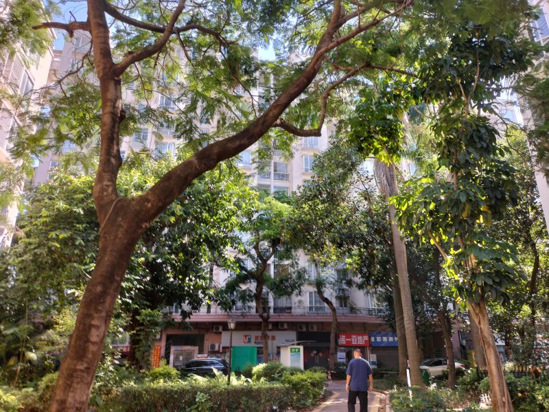 北欧森林,港一路38号-珠海北欧森林二手房,租房,房价-珠海安居客