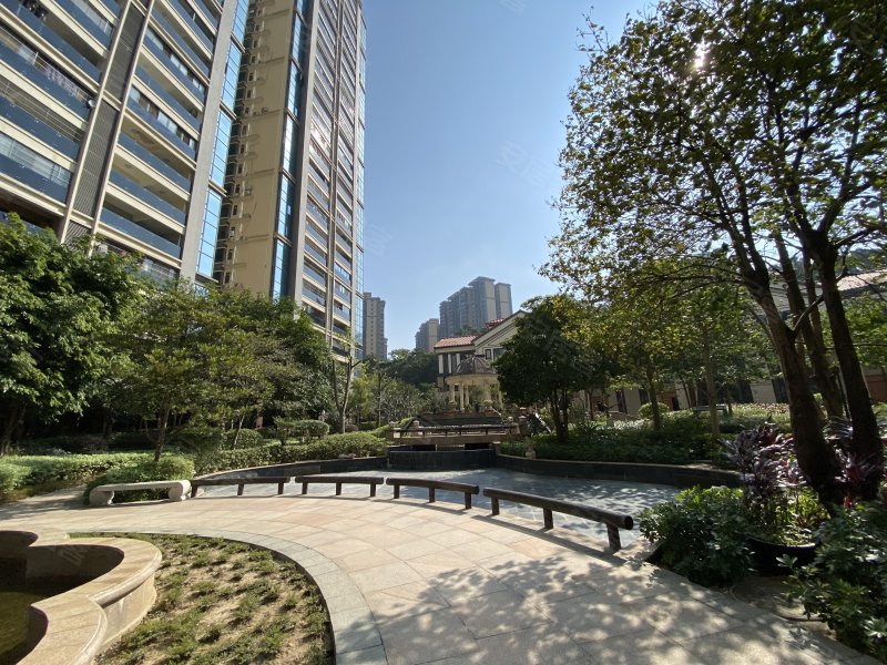 金信海怡花园,北江一路-清远金信海怡花园二手房,租房,房价-清远安居