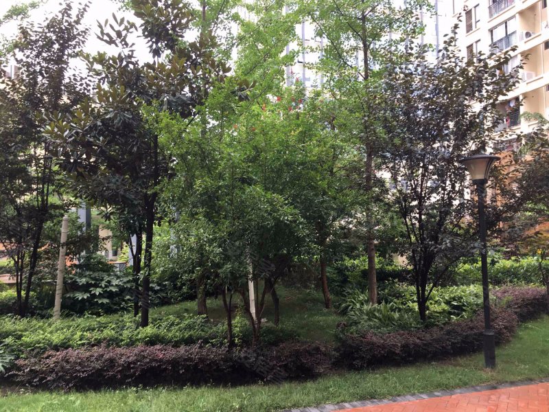 金成溪山美郡,津马大道197号-重庆金成溪山美郡二手房,租房,房价-重庆