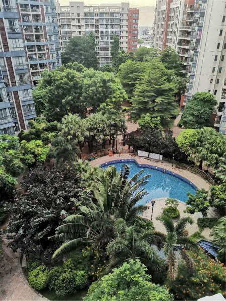 丰盛名苑,精英路-东莞丰盛名苑二手房,租房,房价-东莞安居客