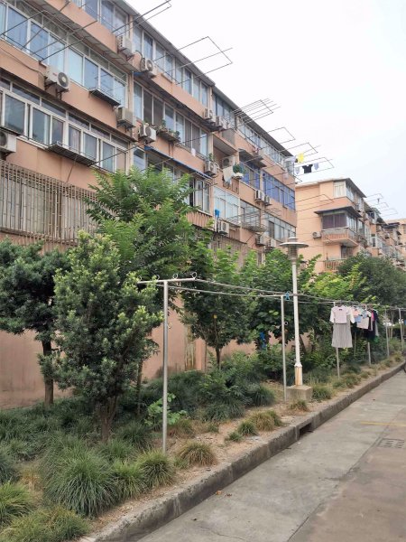 友谊路16弄小区 