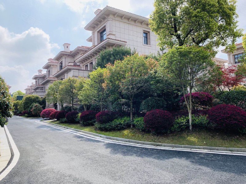 兴宸山水艺墅别墅