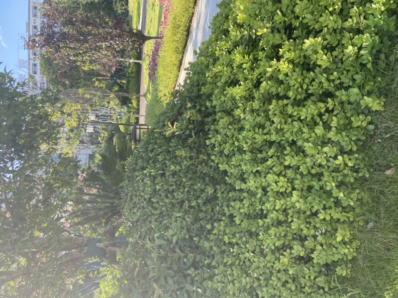 华晨翡翠湾,建设北路-株洲华晨翡翠湾二手房,租房,房价-株洲安居客