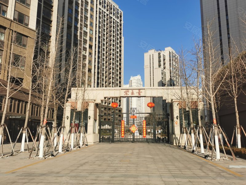 国信紫玉台,金沙滩路168号-青岛国信紫玉台二手房,租房,房价-青岛安居