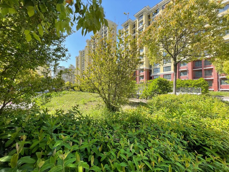 永康城丽华园,盐铁塘路272弄-滨州永康城丽华园二手房,租房,房价-滨州